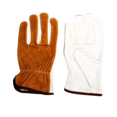 Economy Gloves F-L-61003
